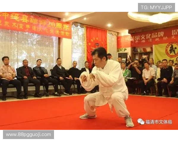 中日武术比赛：传统技艺的碰撞与交流盛宴